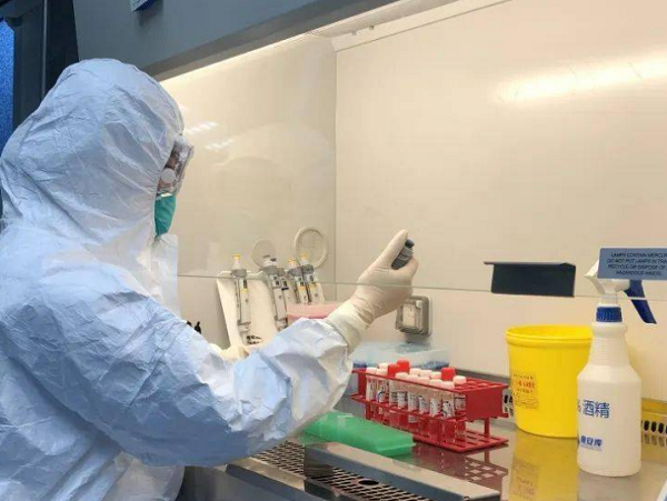 表面微生物、致病菌檢測